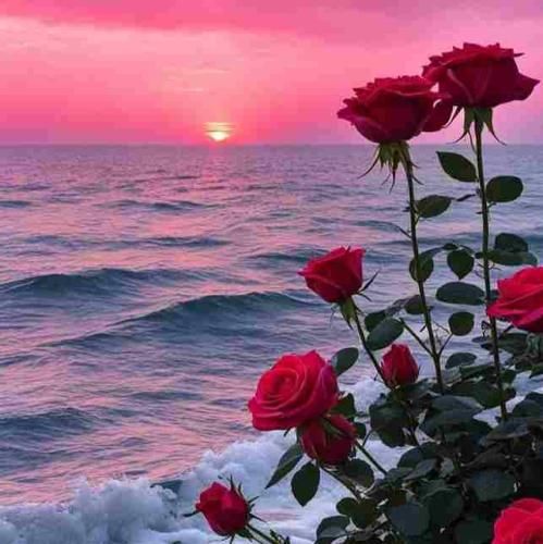  عکس هیشکی دیگه تو ماه نی عکس ماه تو صورت توعه