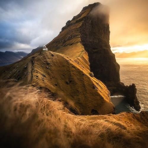 فاطمه عطایی نرم نواجش