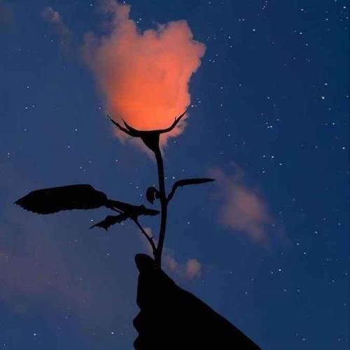  بیقرارم ای نگارم تو کجایی خبر ندارم پرسه های بی امانم در خیابان