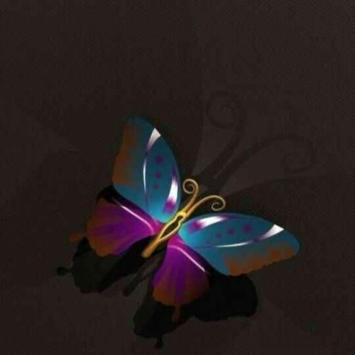 تاران کوچه به کوچه