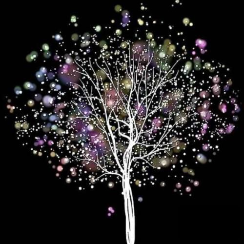 کجا باید برم من عاشق چشاتم