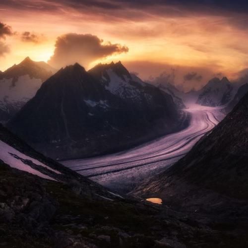 من سبزا تو جیبم با دلاری برا فیدی تنم