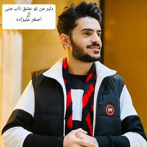 اصغر علیزاده دلبر من تو عشق ناب منی