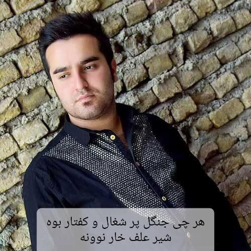 احمد نیکزاد هر چی جنگل پر شغال و کفتار بوه شیر علف خار نوونه