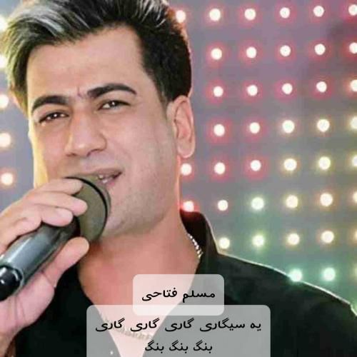 مسلم فتاحی یه سیگاری گاری گاری گاری بنگ بنگ بنگ
