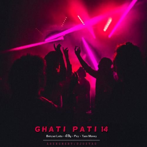 دیجی استاد قاطی پاتی 14