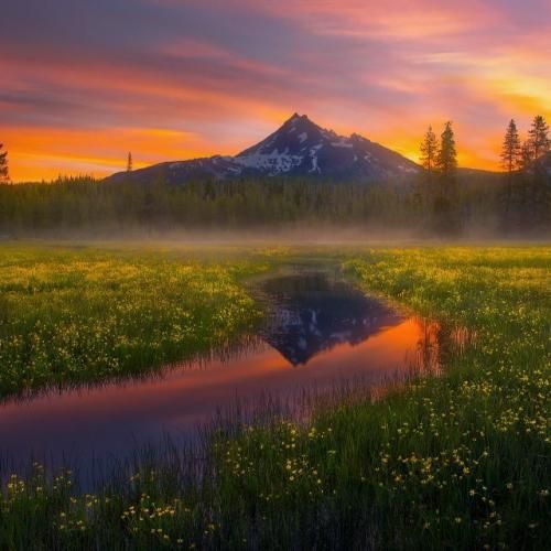 عادیه میگن این پول واسه کیه