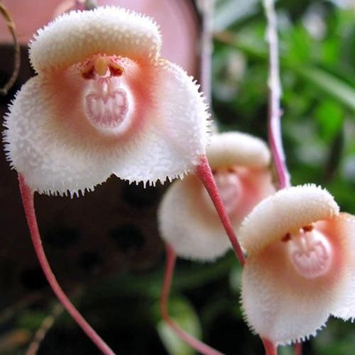 تو شدی خلاصه تو سه تا حرف من ماه تو میشم تو ستارم