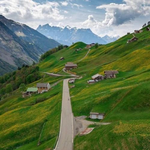 سنا برزنجه یه رنگ سفیدی نشسته رو موهات