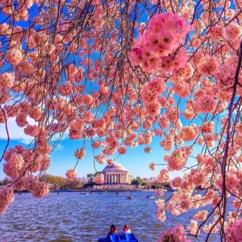 یواش یواش توی دلم وا کردی جاتو با صدای زن