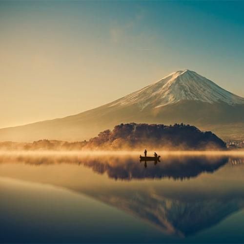 فیمس شدی کل این شهر شناختنت