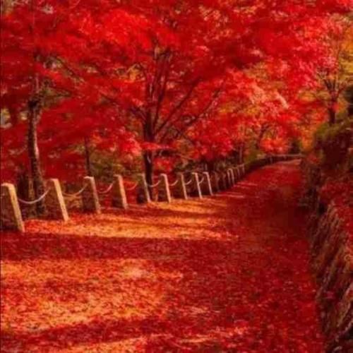  بذار رک بگم از همه ترسیدم از آشنا و غریبه