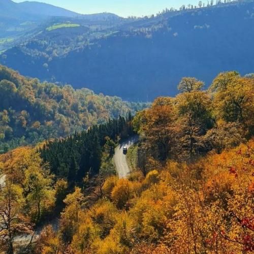  ای یار عاشق بونی عاقل چه نوونی بانو بانو جانم با صدای زن