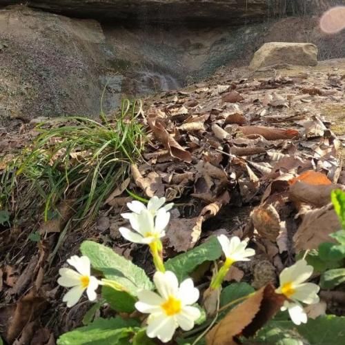  دارم دوست ولی حوصلتو ندارم آخه رو دیگه دست تو