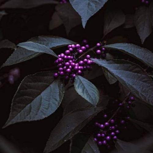 تکیه کردم بر وفای او غلط کردم غلط با صدای زن