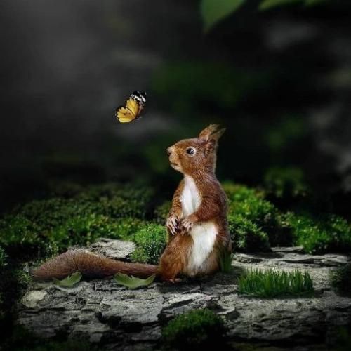 هرچی رفته بر میگرده کارما بد بی رحمه