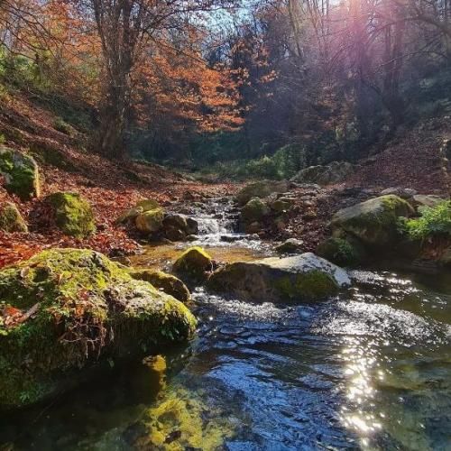 تو عشقشو داری بگی یه نفرو داری با صدای دختر