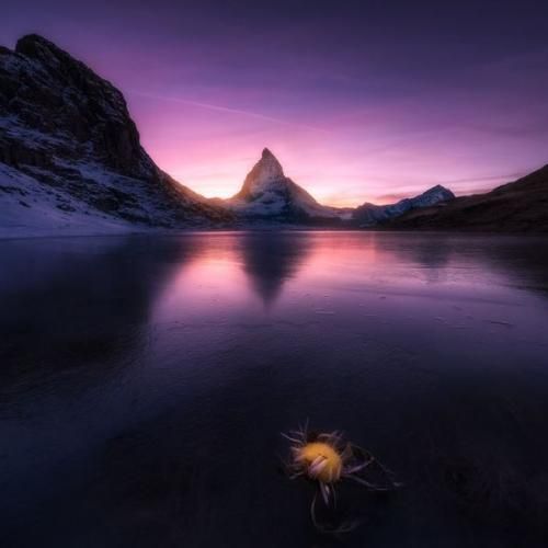 بعضی وقتایی که زیاد مست میکنم توهم میزنم دراکولام