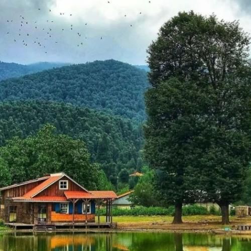 الو ببه تو صندوق کیلو کیلو جنسه (فارسی و کردی با قابلمه)