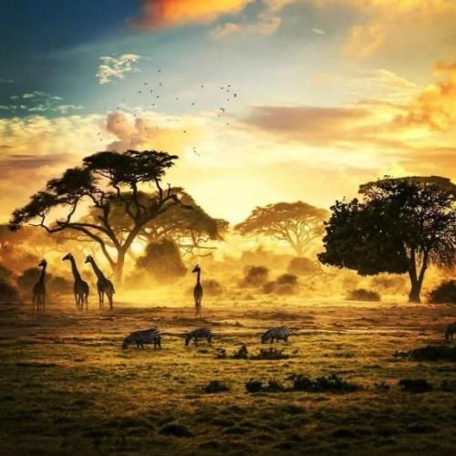 ماشالله سوپر مدلن پسرا هم رپر همه انگاری همه