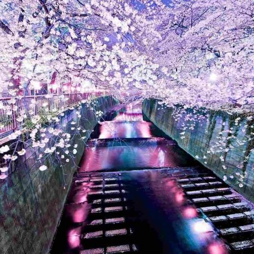 خیابون یه پا داستانه نویسندش خود تویی یه مستند جناییه