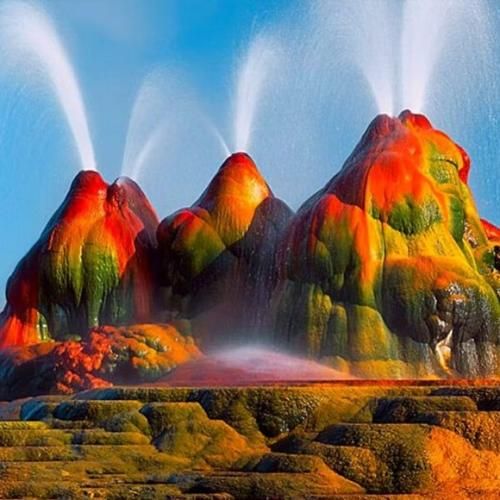 این یکی چاپا میاد با اکستندو دیدمش چاقالو
