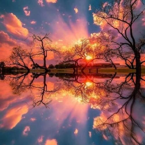 کشمش هم تخمیر نکن زمین بازی منه شیش تا بلانت