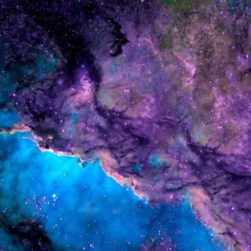 اگه حرفمو شنیدی جنگلو نده به پاییز