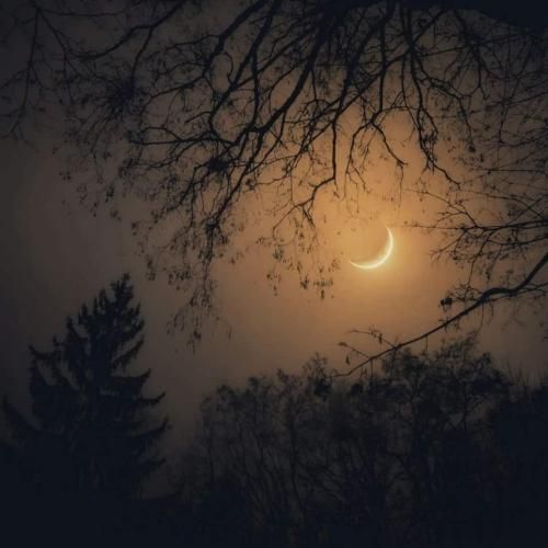 بهرام و علی سورنا گرگ و میش