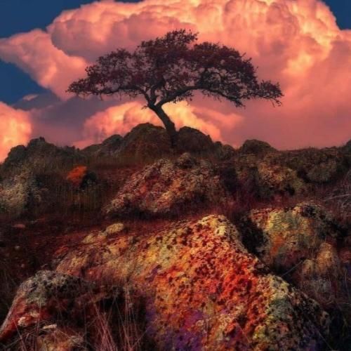  دستامو ول کرده شاید تا یاد بگیرم پروازو خوب