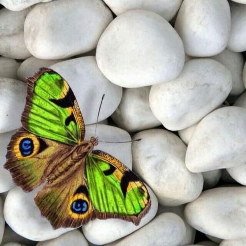 زیبا روز و شب