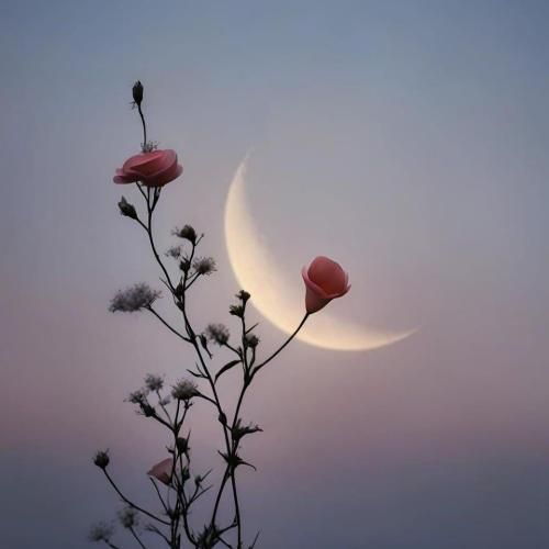  دلم میخواد برم مسافرت نمیدونم اصلا با کی باید کجا برم