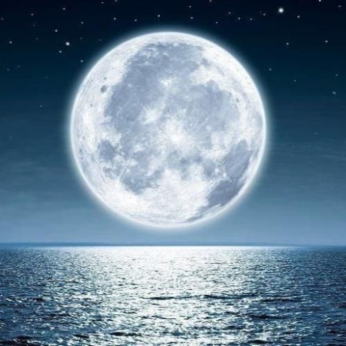 ستین برمگردون