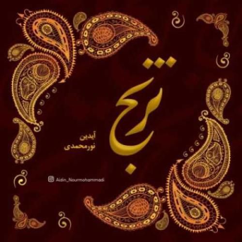 آیدین نورمحمدی ترنج