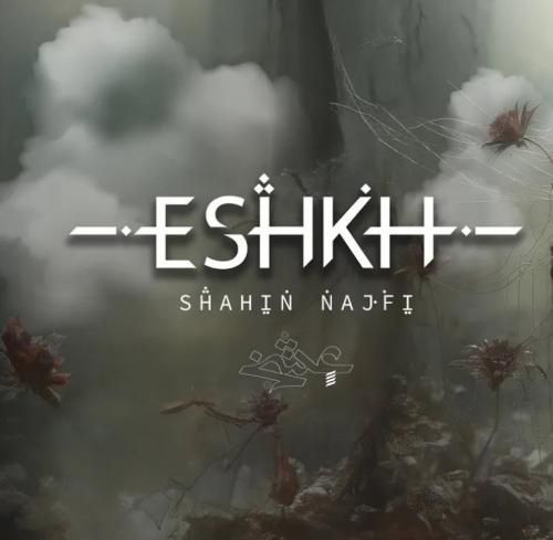 شاهین نجفی عشخ