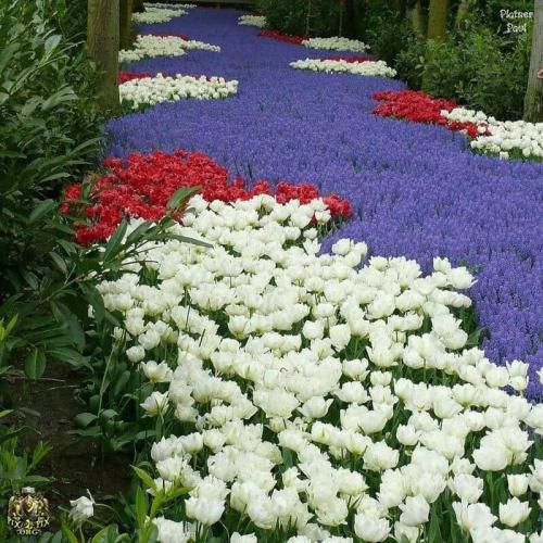 فاطمه مهلبان عشق مقدس