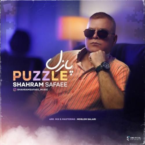 شهرام صفایی پازل