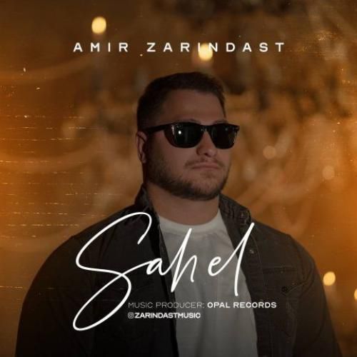 امیر زرین دست ساحل