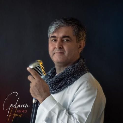 هومر گوزلرین