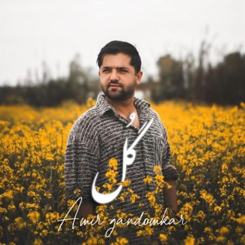 امیر گندم کار گل