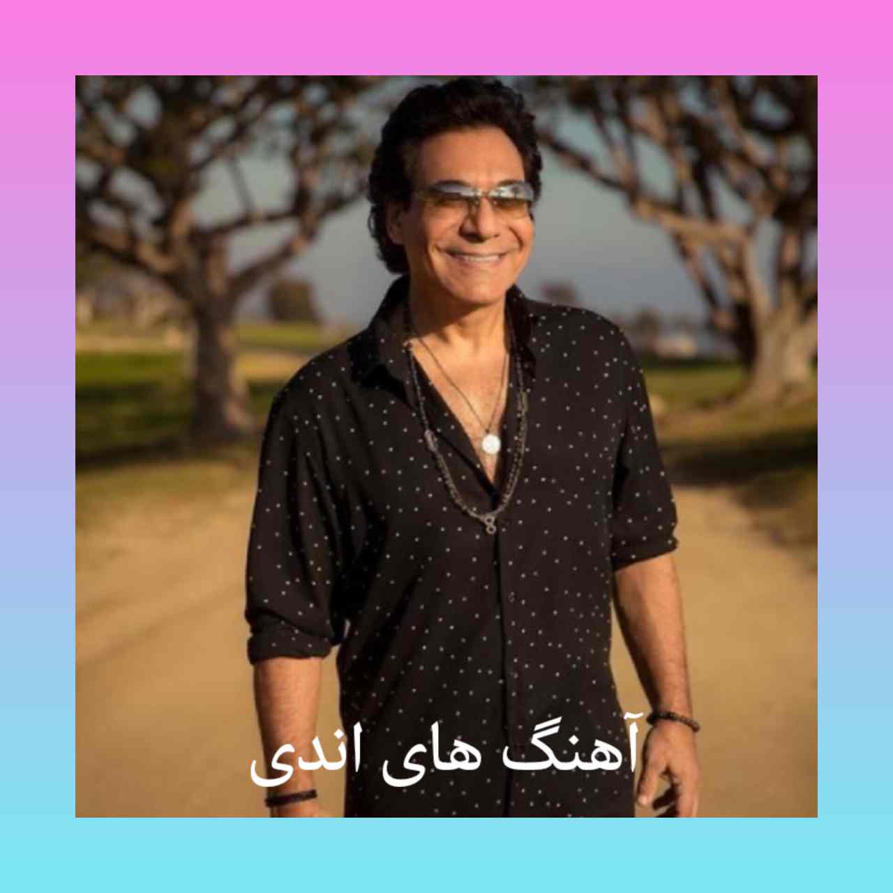 برترین آهنگ های اندی + متن 1403