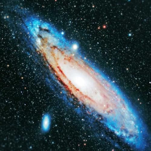 گوچی فلیم دنس فور می