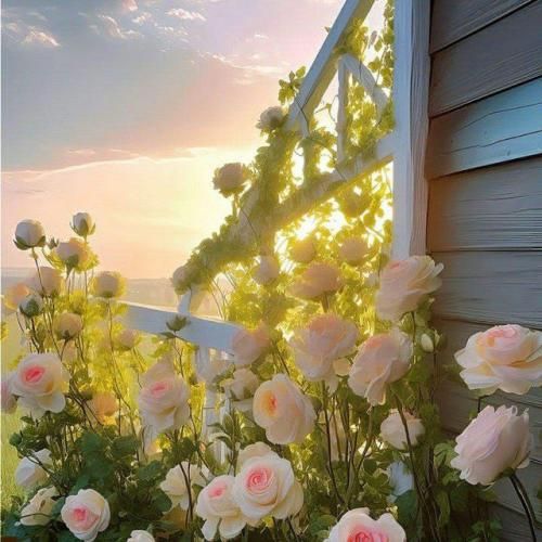 زده چشمک بم میاد امشب بام همه شدن مست چت