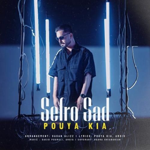 پویا کیا صفر و صد