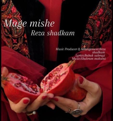 رضا شادکام مگه میشه