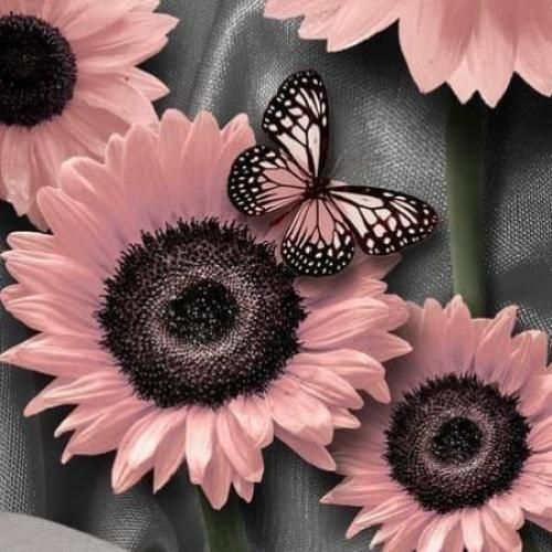 کیمی بی عقده