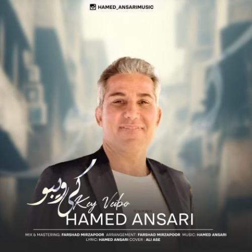 حامد انصاری کی ویبو