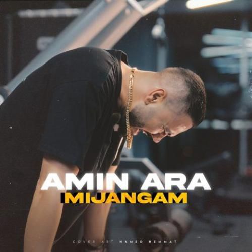 امین آرا میجنگم