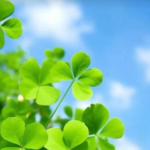 سنا برزنجه بیتوه یا نیتوه تازه به من چی هاتنه‌وت