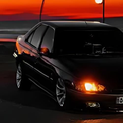 خوشتیپ فقط پارس سیاه خوشتیپ فقط یار طلا